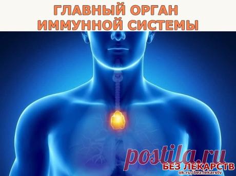 ТИМУС