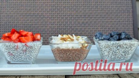 Три чиа-пудинга для чемпиона - ПУТЕШЕСТВУЙ ПО САЙТУ.