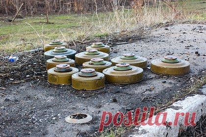Четвертая граничащая с Россией страна выйдет из конвенции о запрете противопехотных мин