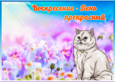 Открытка воскресенье - день прекрасный