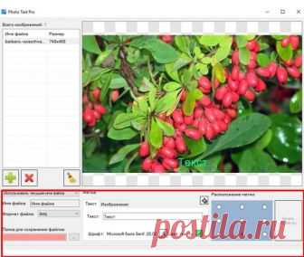 Как добавить текст на фото