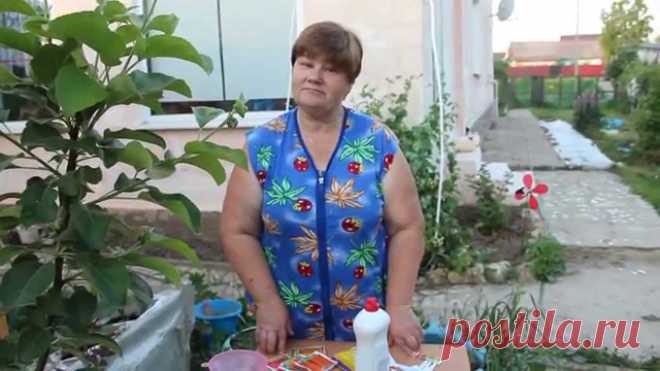Морковь.Посадка моркови. Посадка МОРКОВИ. Новый отличный способ посадки. Сроки посадки моркови, а также о том, как бороться с морковной мухой. ****************** ● ПОДПИСАТЬСЯ, чтобы...