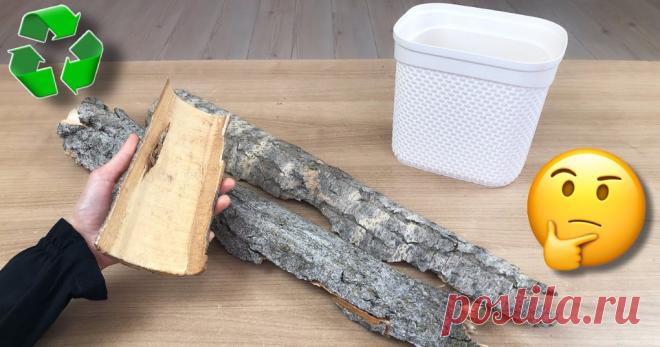 Пластиковое ведро, кора и такая красота получилась