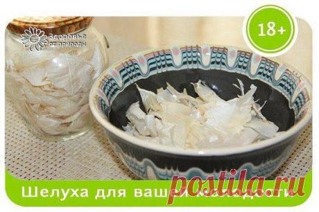 Чесночная шелуха
