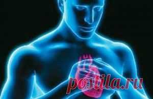 У доктора Влада