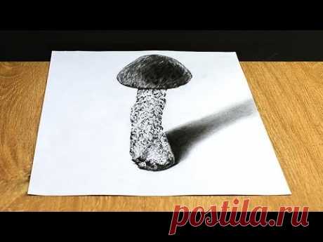 Как он нарисовал этот 3D рисунок? Гриб простыми карандашами на бумаге.How he drew a 3D drawing