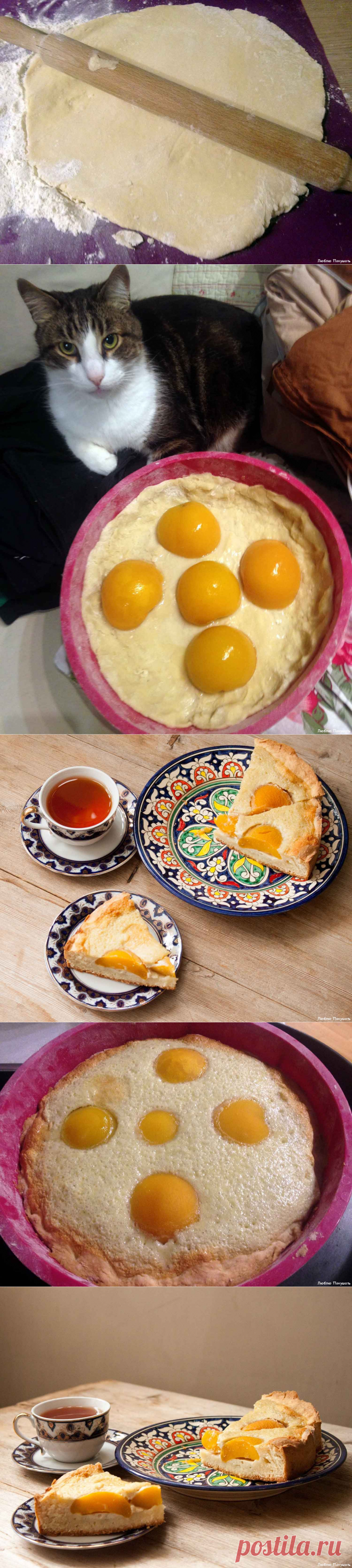 Пирог с персиками - пошаговый рецепт приготовления данного блюда с фото и видео вы можете найти на кулинарном сайте Люблю Покушать LoveToEat.ru
http://www.lovetoeat.ru/pirog-s-persikami/