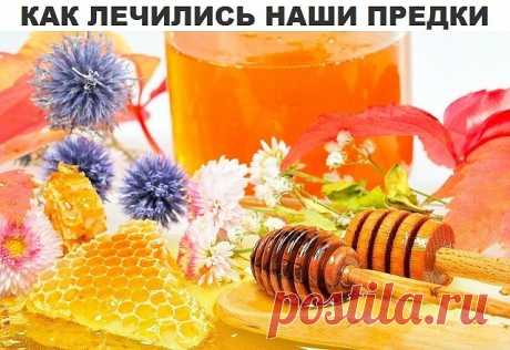 В листьях подорожника есть огромное количество горьких и дубильных веществ, аукубина, гликозида, ферментов, фитонцидов, лимонной кислоты, каротина и витаминов С и К. Зёрна подорожника - это кладезь углеводов, олеиновой кислоты и сапонинов. Нежные и молодые листья подорожника применяются в приготовлении салатов с хреном, крапивой, картофелем и луком. Помимо того, подорожник входит в рецепты котлет, пюре, разных напитков, каш, запеканки и омлетов. А щи из подорожника способн...