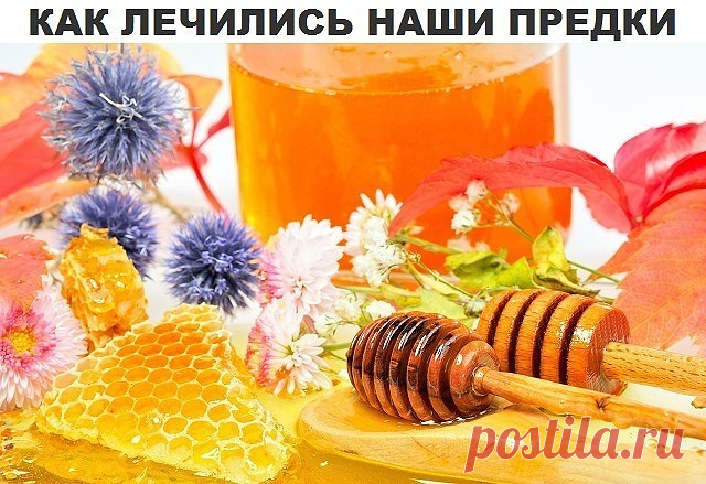 В листьях подорожника есть огромное количество горьких и дубильных веществ, аукубина, гликозида, ферментов, фитонцидов, лимонной кислоты, каротина и витаминов С и К. Зёрна подорожника - это кладезь углеводов, олеиновой кислоты и сапонинов. Нежные и молодые листья подорожника применяются в приготовлении салатов с хреном, крапивой, картофелем и луком. Помимо того, подорожник входит в рецепты котлет, пюре, разных напитков, каш, запеканки и омлетов. А щи из подорожника способн...