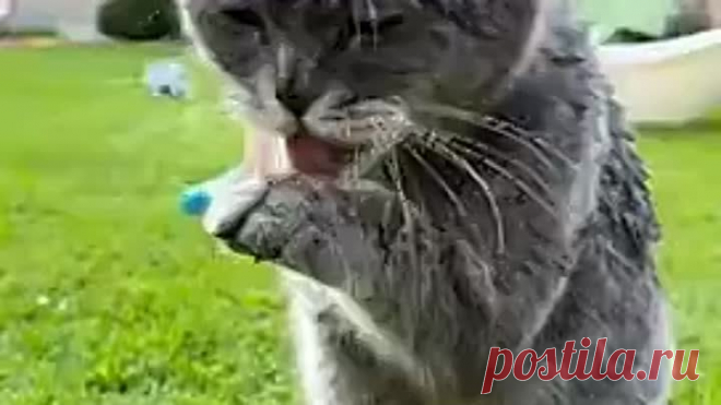 VID_20230723_085601_609.mp4