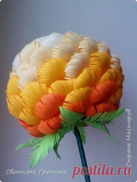 (60) Pinterest