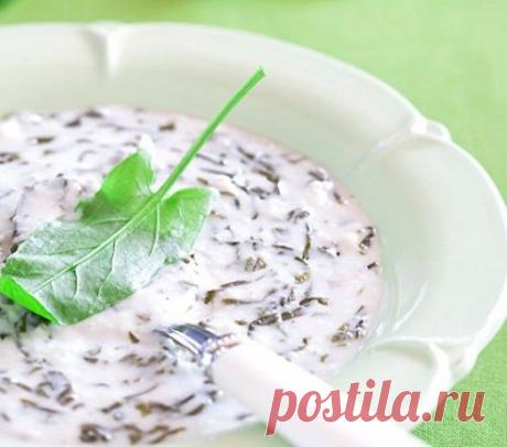 Суп из щавеля