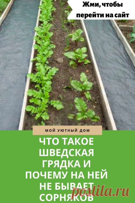 Что такое шведская грядка и почему она практичная
