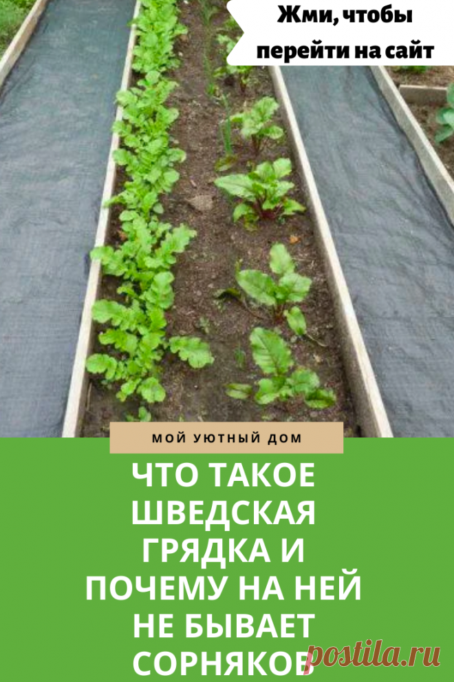 Что такое шведская грядка и почему она практичная