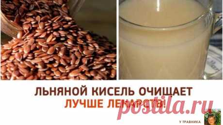 ЛЬНЯНОЙ КИСЕЛЬ — ИНТЕНСИВНОЕ ОЧИЩЕНИЕ И ОМОЛОЖЕНИЕ! Чуть ниже мы поделимся с вами лучшими рецептами. | OK.RU