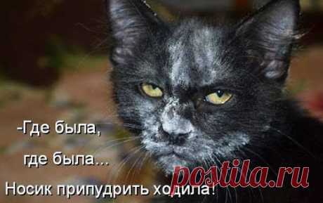 (55) Evgeniy Poligrafiya