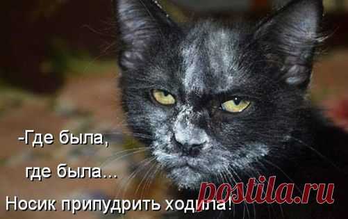 (55) Evgeniy Poligrafiya