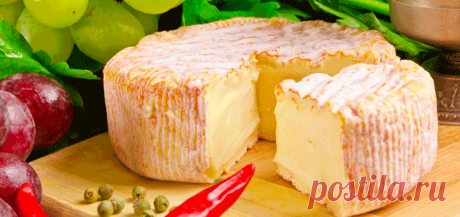 Домашний французский сыр