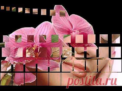 (+1) тема - Дорогие барышни, милые коллеги, с праздником!!! Музыкальное поздравление! | Поздравления и тосты