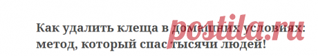 Как удалить клеща