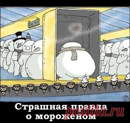 Влади-Слава