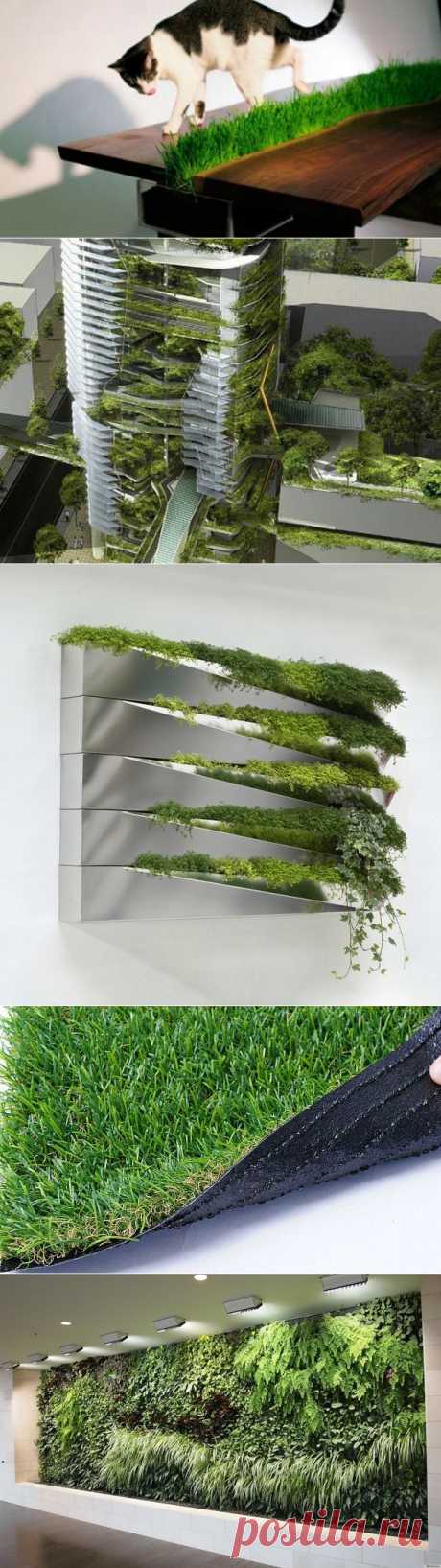 Creat Studios | Экологический дизайн. Зелень в оформлении