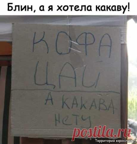 Первого сентября у племянника и у всех детей в школе спрашивают: - А кем ты хочешь стать?...