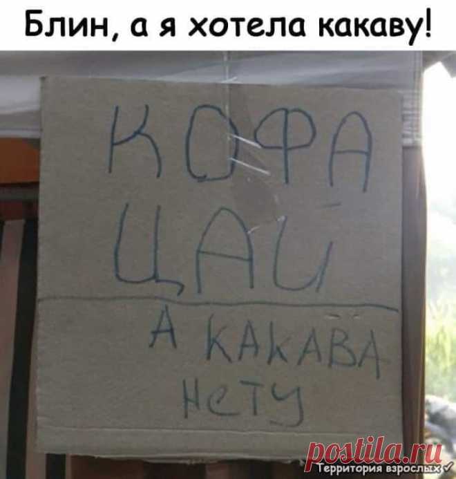 Первого сентября у племянника и у всех детей в школе спрашивают: - А кем ты хочешь стать?...