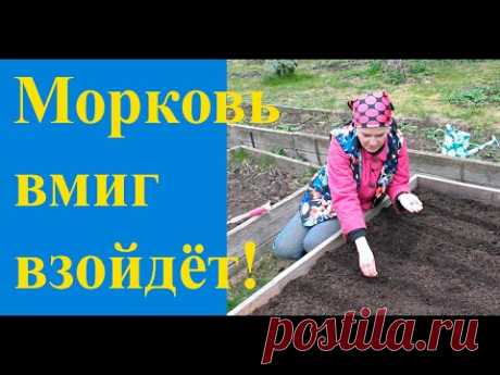 Посев моркови "под одеяло"