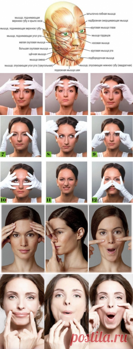 Знакомство с фейсбилдингом — подтяжка лица массажем