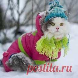 Вяжем крючком ирландские мотивы