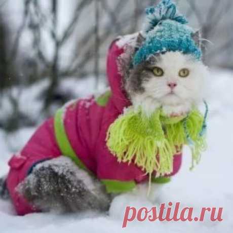 Вяжем крючком ирландские мотивы