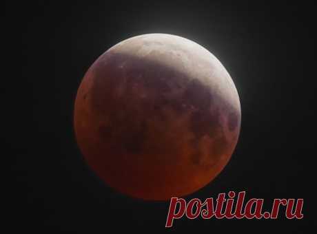 Автор фото: Kulachatov Alexey. | «Кровавая Суперлуна»: какой ее увидели жители Земли — National Geographic Россия