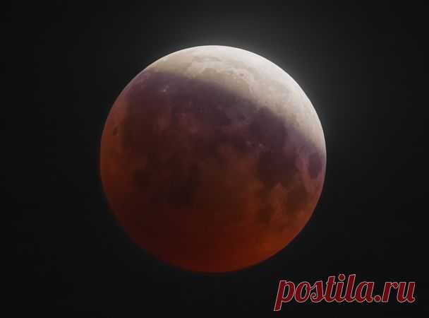 Автор фото: Kulachatov Alexey.  |   «Кровавая Суперлуна»: какой ее увидели жители Земли — National Geographic Россия