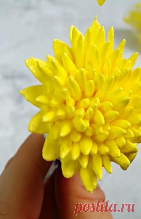 🌼Символ верности.
Удивительный цветок,мы считаем его сорняком,а он ,не обижается и каждую весну вновь радует🌼нас сначала своим солнечным цветением,а потом летним ,,снегом,,