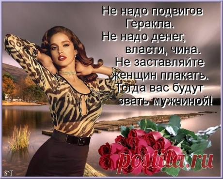 Светлана Тимофеева.