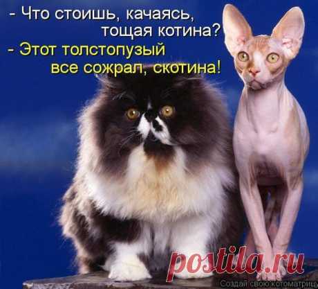 Ну что тут скажешь?