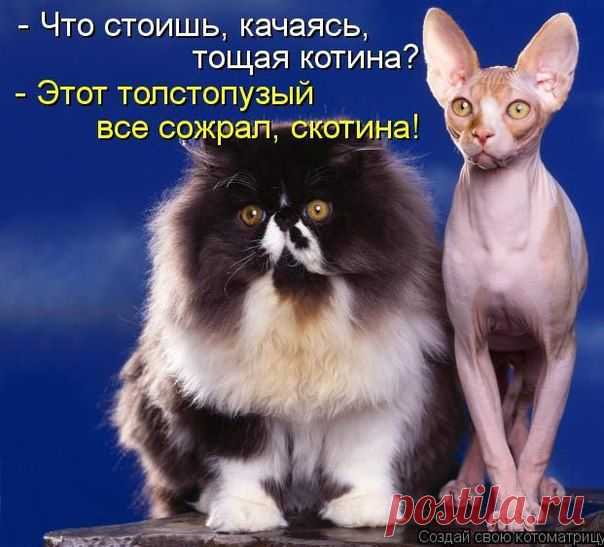 Ну что тут скажешь?