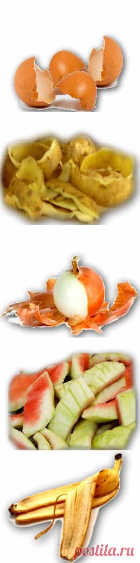 Лекарства из… ПРОДУКТОВЫХ ОТХОДОВ (1