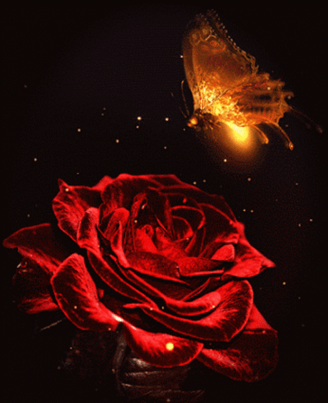 СТИХИЯ - Группы Мой Мир