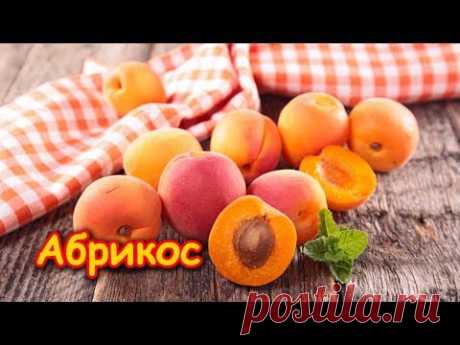 АБРИКОС - самый ЛУЧШИЙ ФРУКТ для здоровья