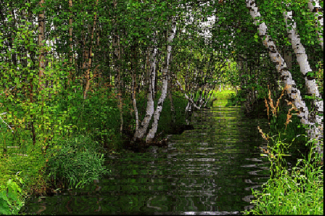 Мой Мир@Mail.Ru