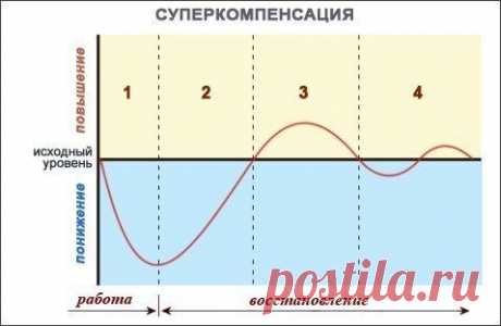 СУПЕРКОМПЕНСАЦИЯ или как часто качать мышцу?