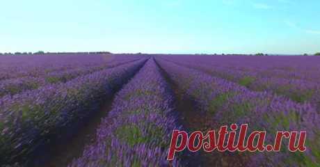 (20+) Facebook