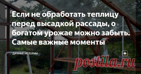 Если не обработать теплицу перед высадкой рассады, о богатом урожае можно забыть. Самые важные моменты