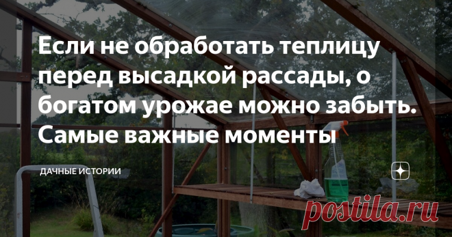 Если не обработать теплицу перед высадкой рассады, о богатом урожае можно забыть. Самые важные моменты