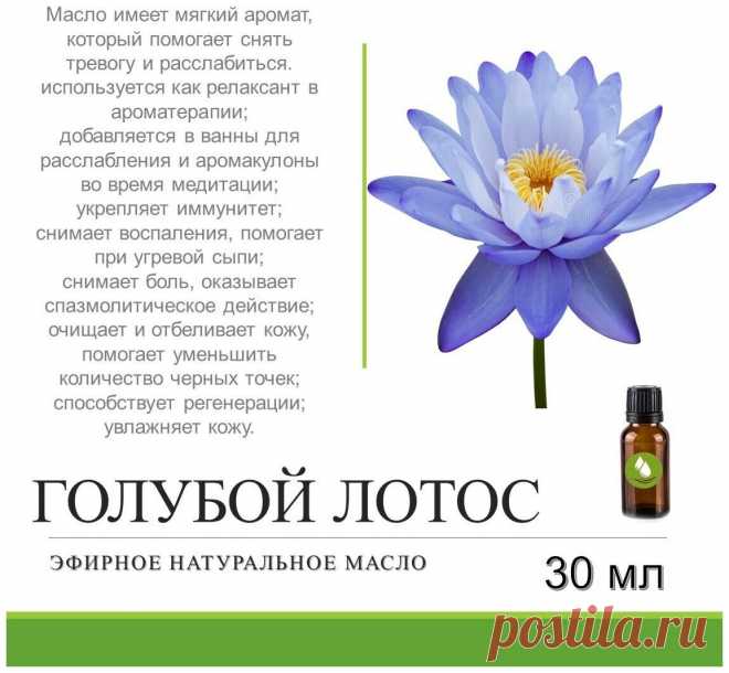 Аромат лотоса описание Женский блог — сайт о здоровье, красоте и моде. На сайте собраны статьи на тему красота, психология, дети, женские советы, взаимоотношения и правильное питание. Все самое полезное и только для Вас!
