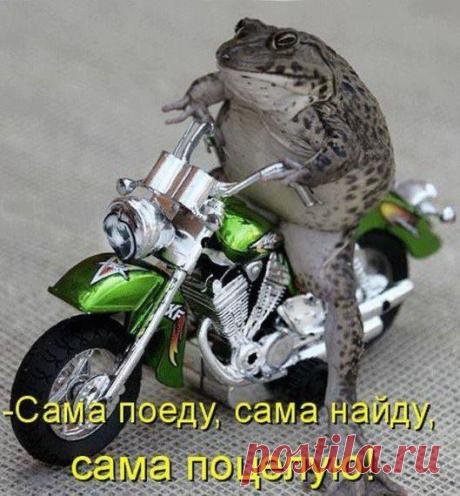 -Сама поеду, сама найду, сама поцелую!