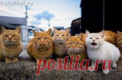 Apskatīt ziņojumu - Inbox Mail