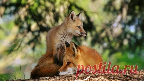 Мой Мир@Mail.Ru